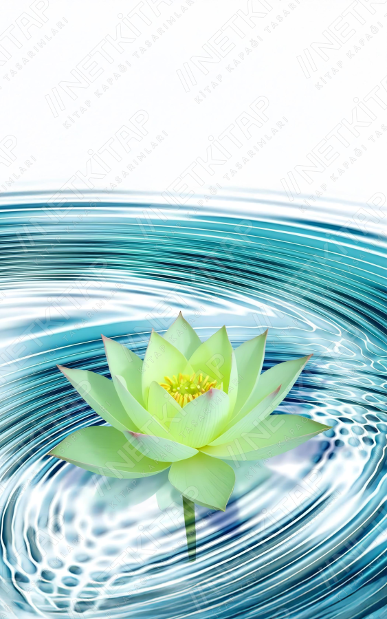 Sakin Lotus Dalgalanmaları