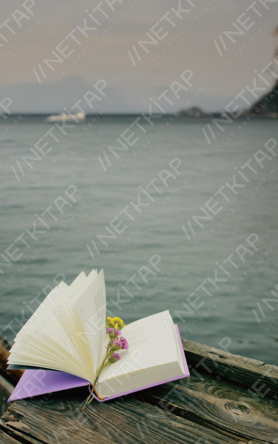 Deniz Kenarı Kitaplığı