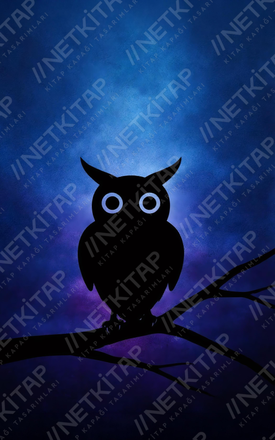 Sessiz Gece Gözcüsü